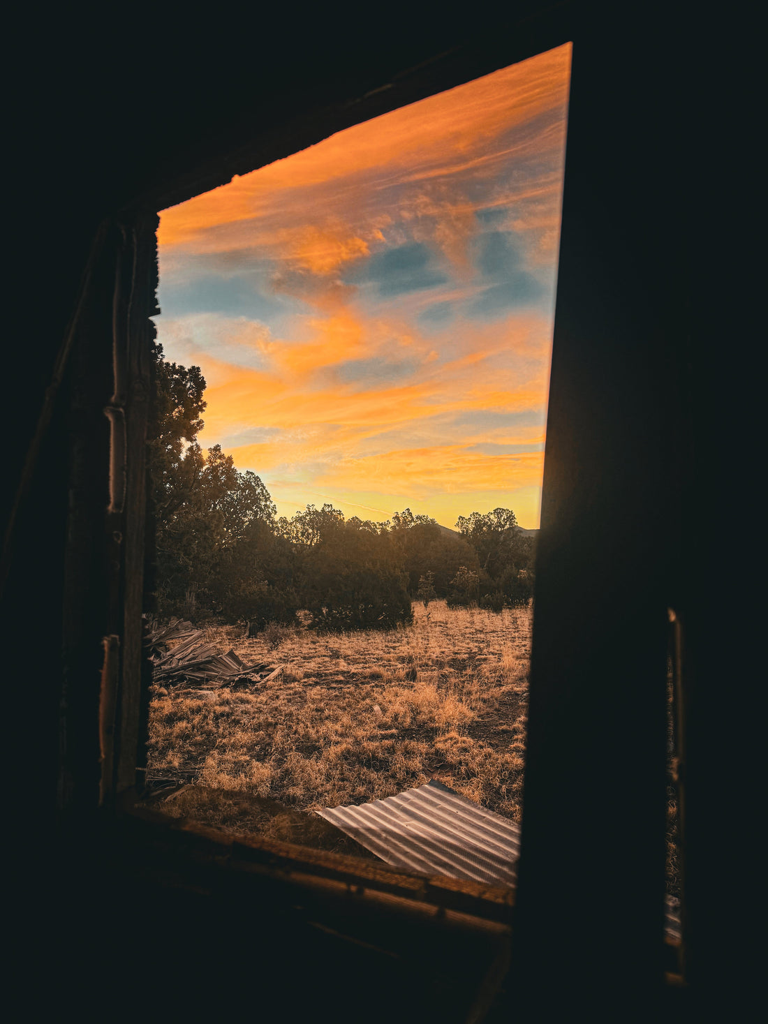 A Night with Bats, Hawks, and "Skinwalkers" in Rural New Mexico