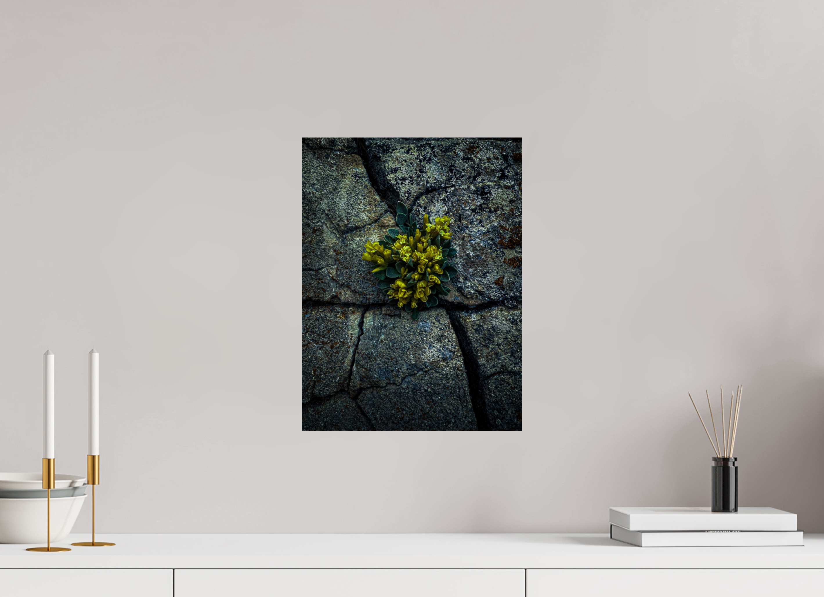 12 x 16″, Photo Print On Fuji Crystal DP II Flowers In The Cracks