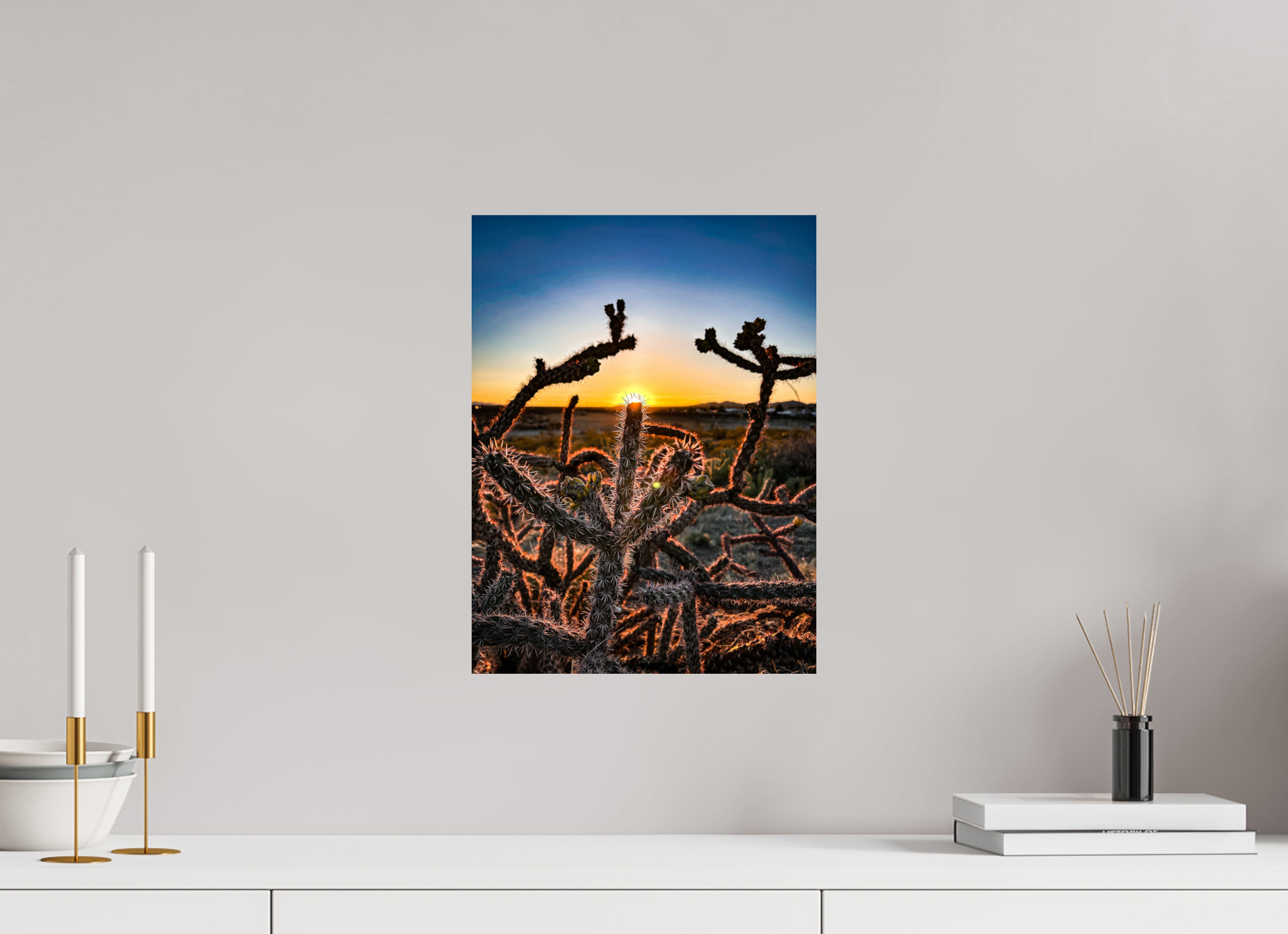 12 x 16″, Photo Print On Fuji Crystal DP II Columbus Cactus