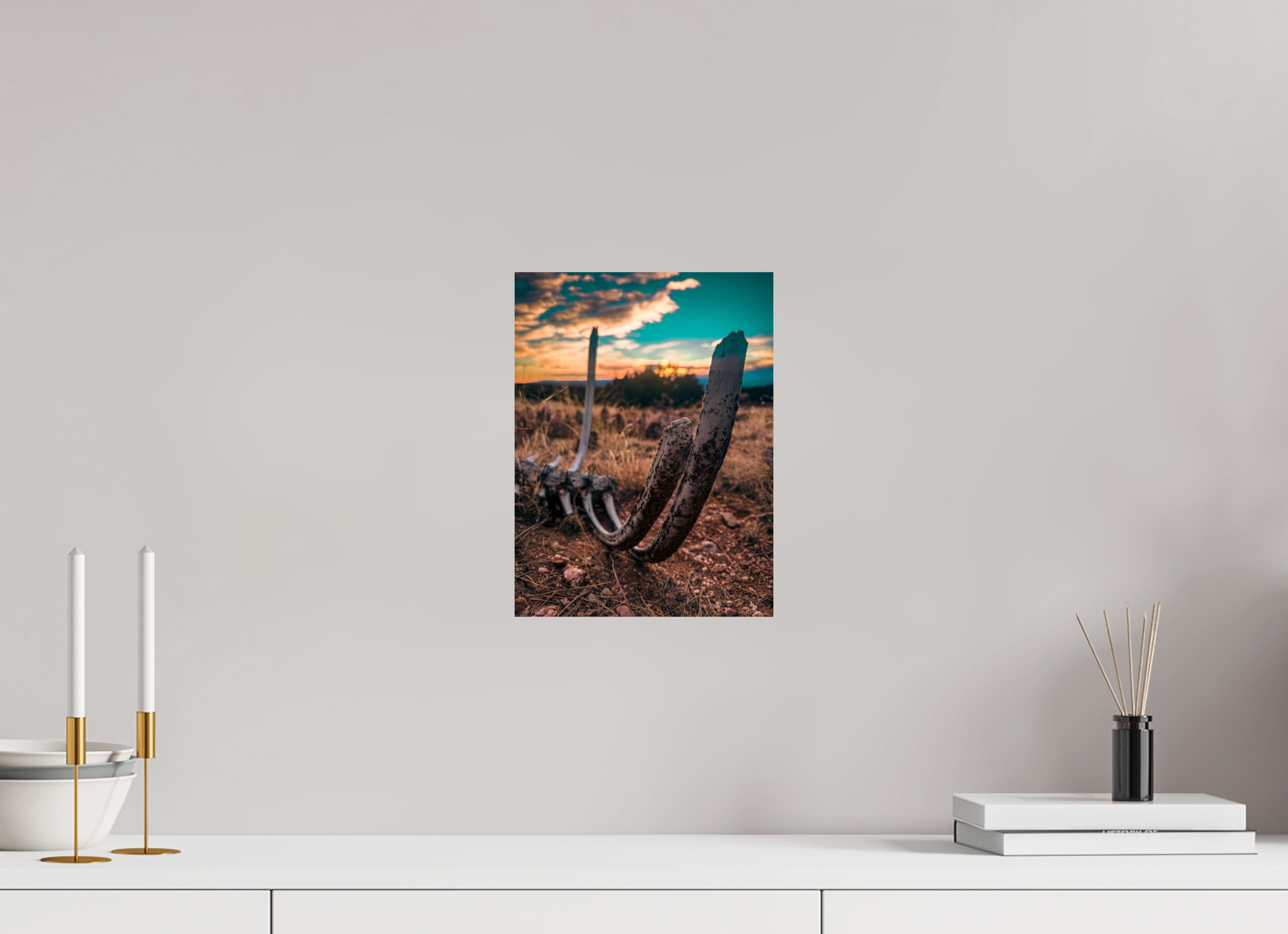 9 x 12″, Photo Print On Fuji Crystal DP II Desert Bones