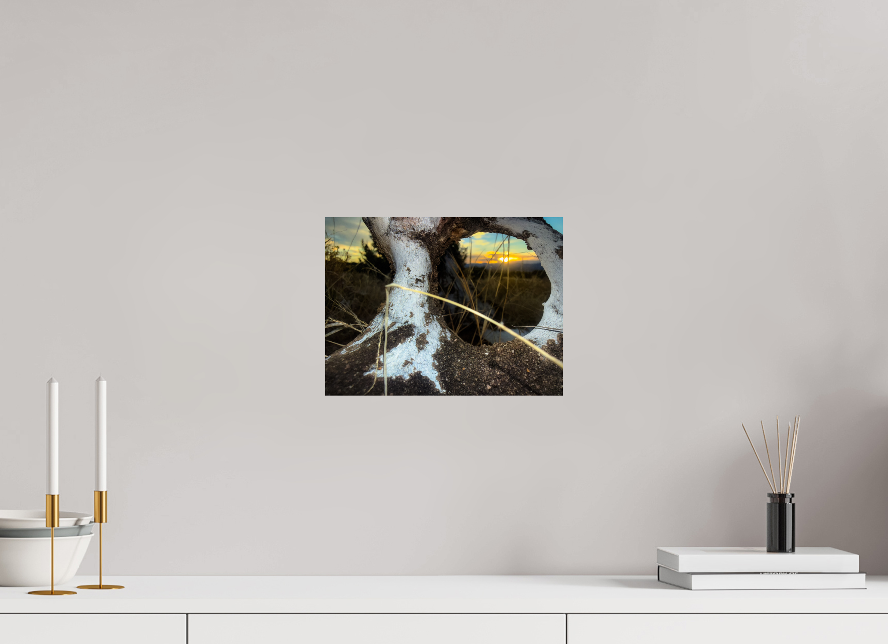 12 x 9″, Photo Print On Fuji Crystal DP II Sunset Bones