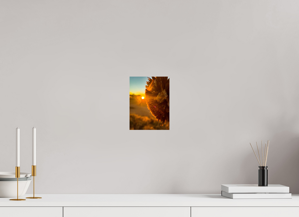 6 x 8″, Photo Print On Fuji Crystal DP II Ghost Town Sunflower