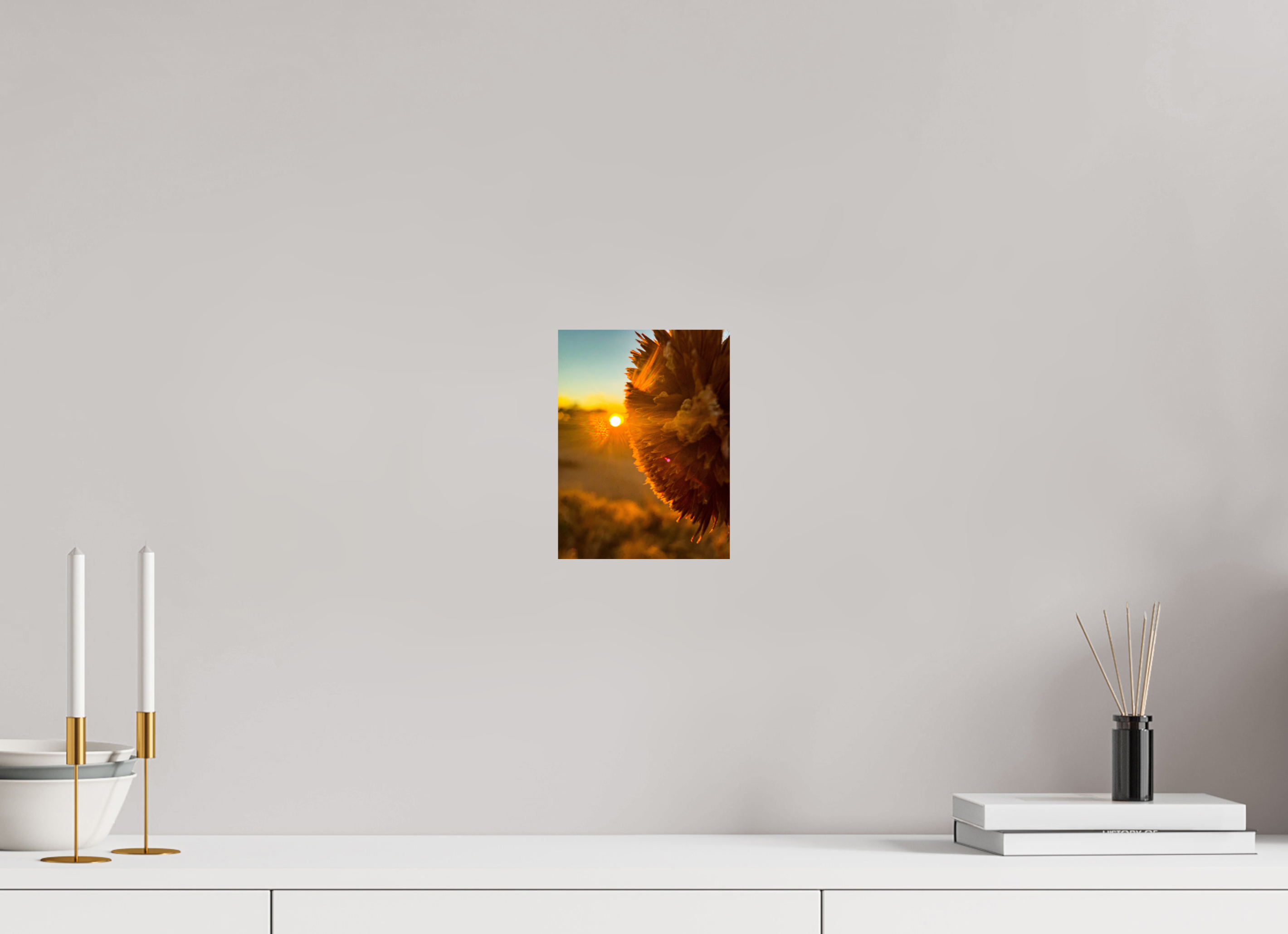 6 x 8″, Photo Print On Fuji Crystal DP II Ghost Town Sunflower