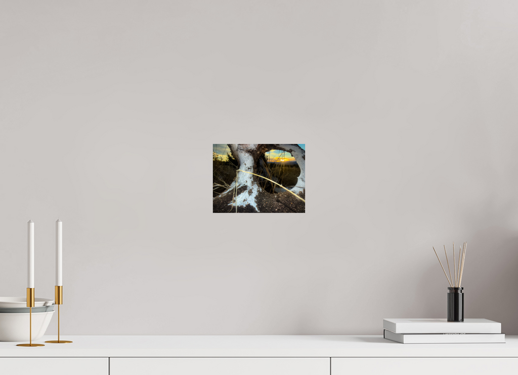 8 x 6″, Photo Print On Fuji Crystal DP II Sunset Bones