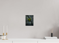 6 x 8″, Photo Print On Fuji Crystal DP II Flowers In The Cracks