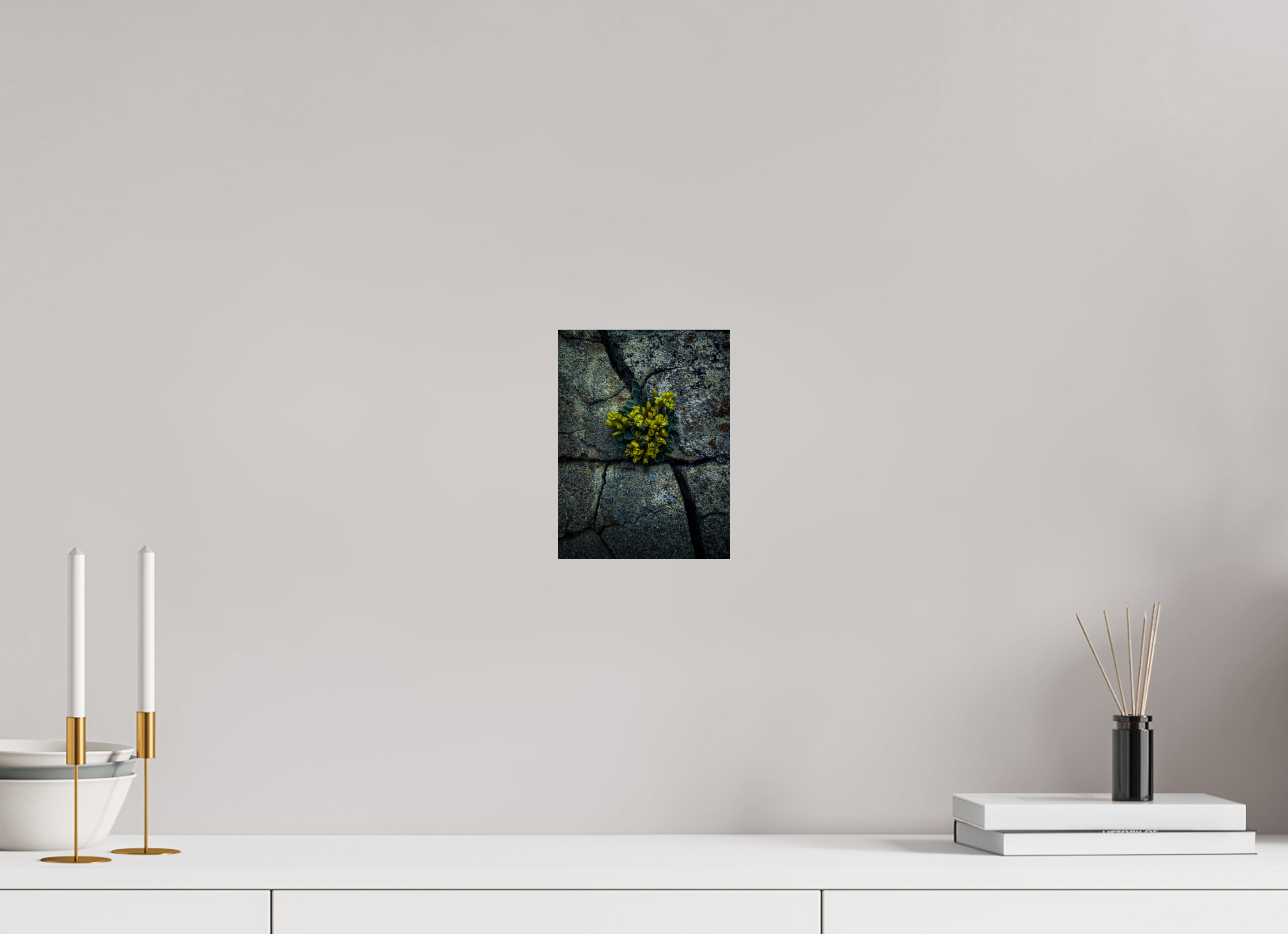 6 x 8″, Photo Print On Fuji Crystal DP II Flowers In The Cracks