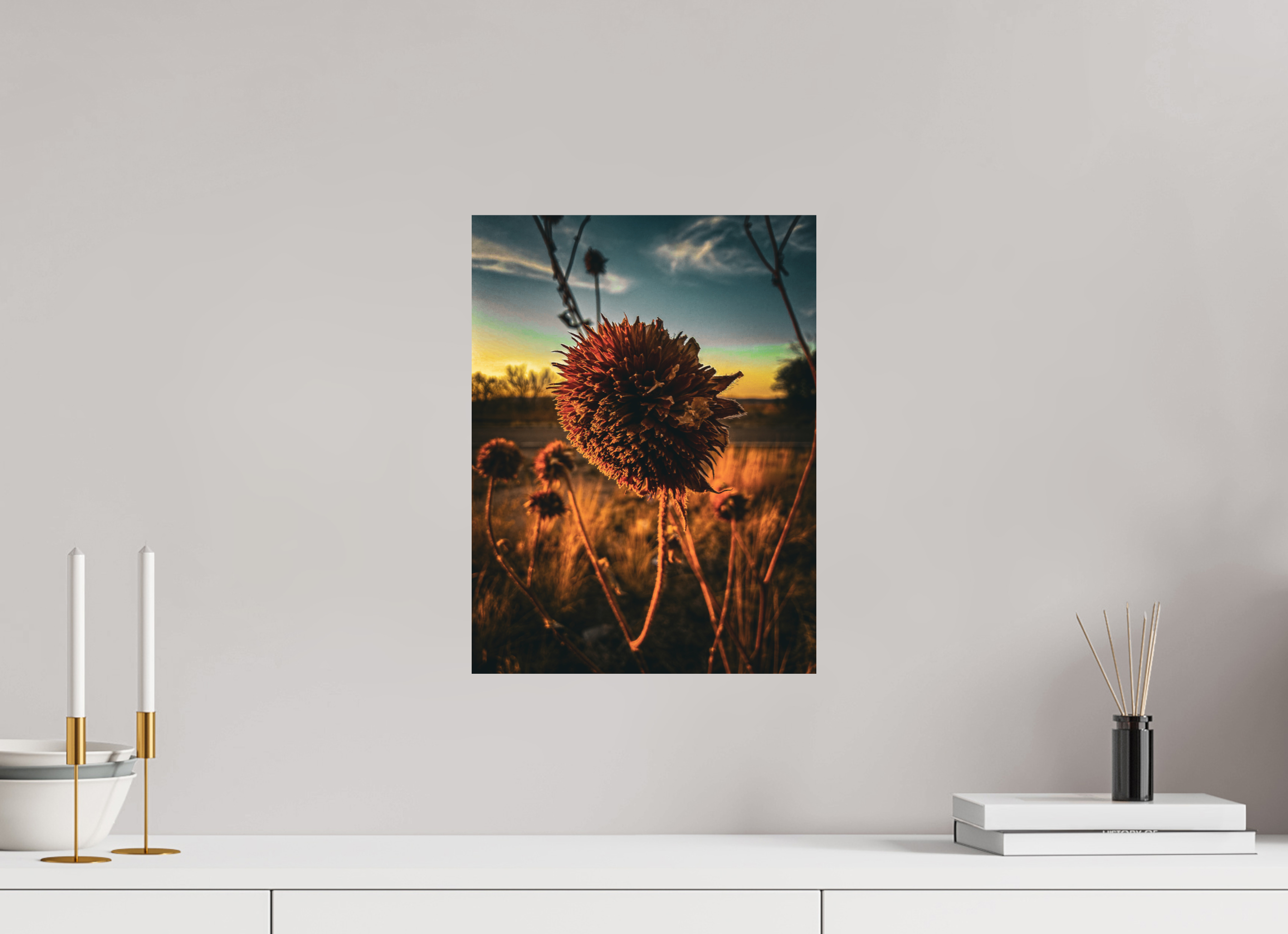 12 x 16″, Photo Print On Fuji Crystal DP II Abandoned Sunflower