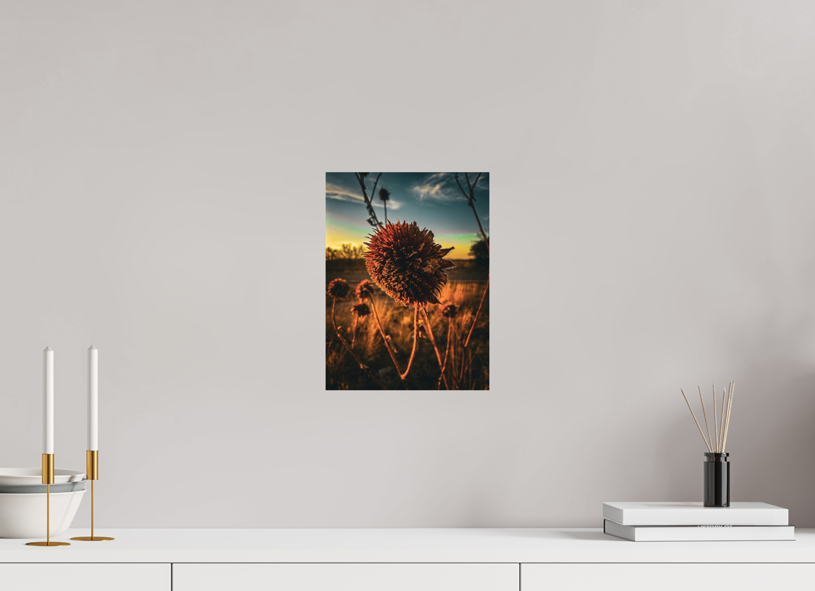 9 x 12″, Photo Print On Fuji Crystal DP II Abandoned Sunflower