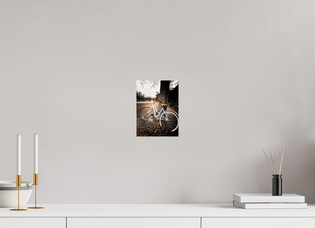6 x 8″, Photo Print On Fuji Crystal DP II Abandoned Bike