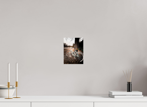 6 x 8″, Photo Print On Fuji Crystal DP II Abandoned Bike