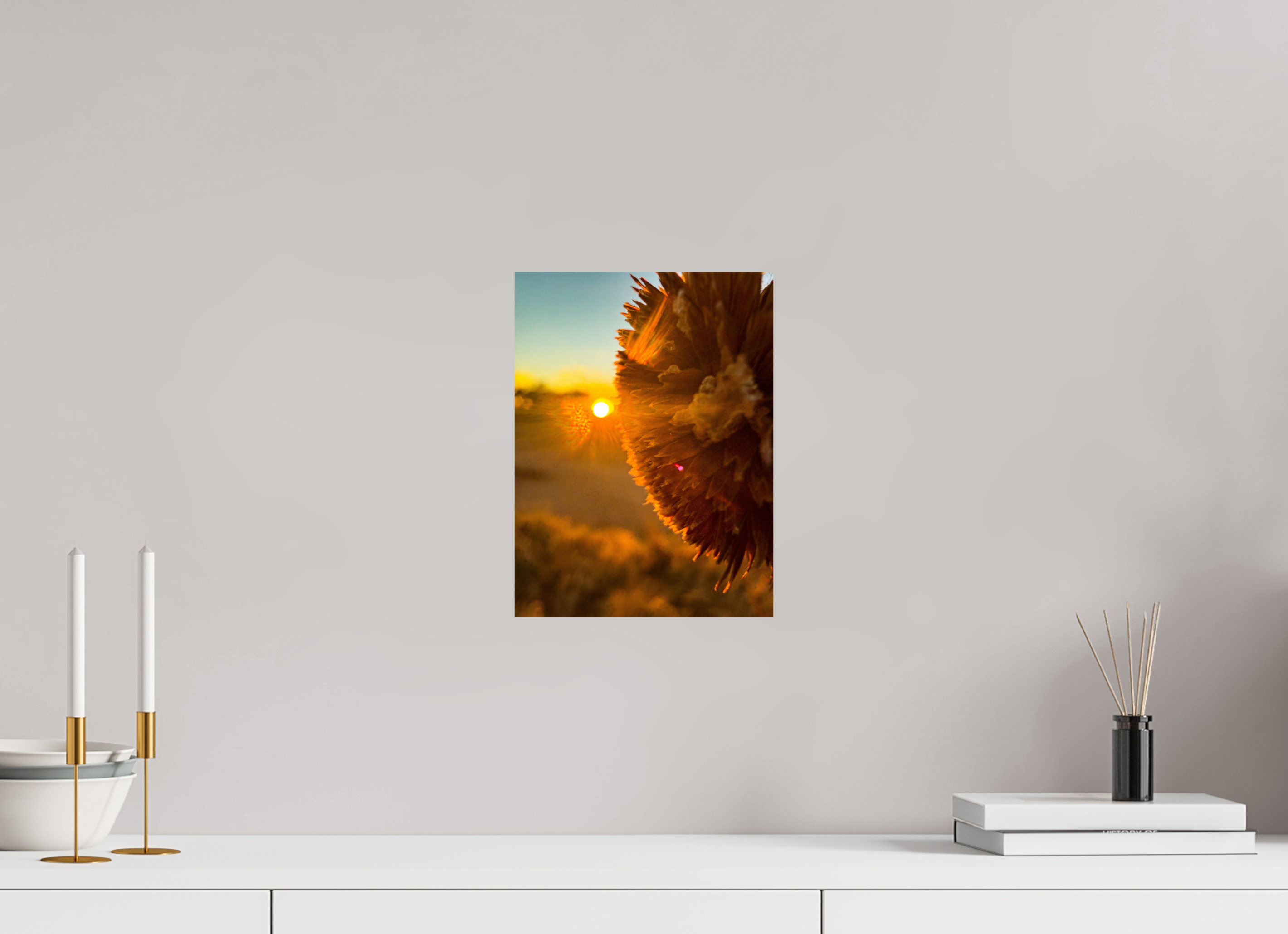 9 x 12″, Photo Print On Fuji Crystal DP II Ghost Town Sunflower