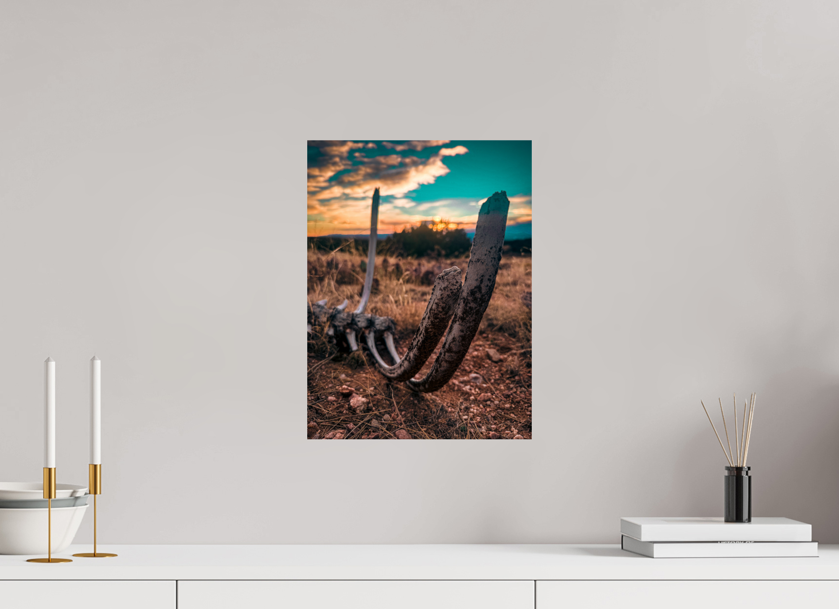 12 x 16″, Photo Print On Fuji Crystal DP II Desert Bones