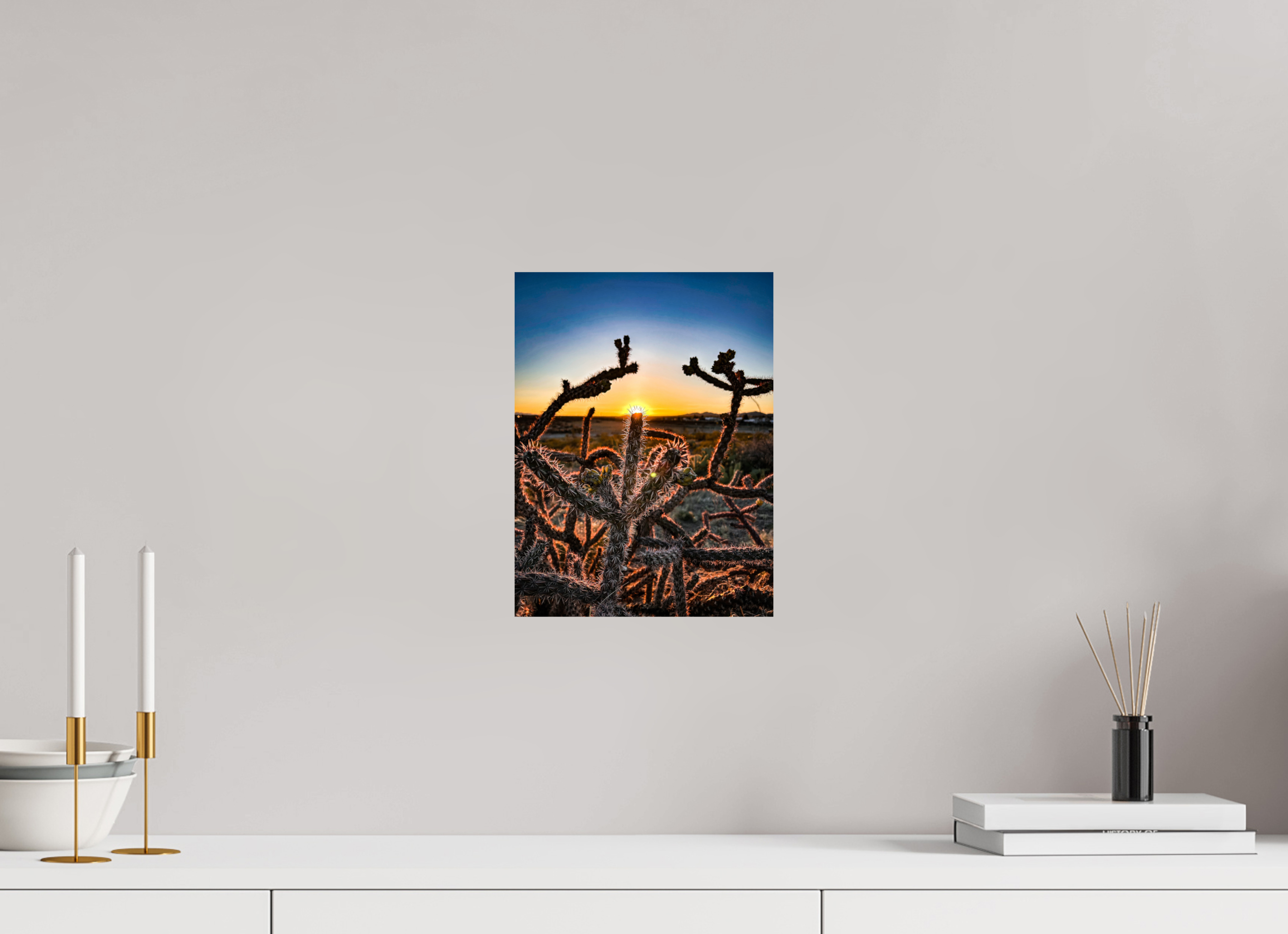 9 x 12″, Photo Print On Fuji Crystal DP II Columbus Cactus
