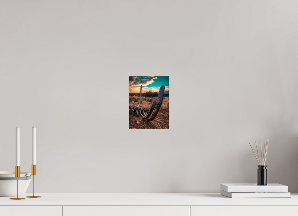 6 x 8″, Photo Print On Fuji Crystal DP II Desert Bones