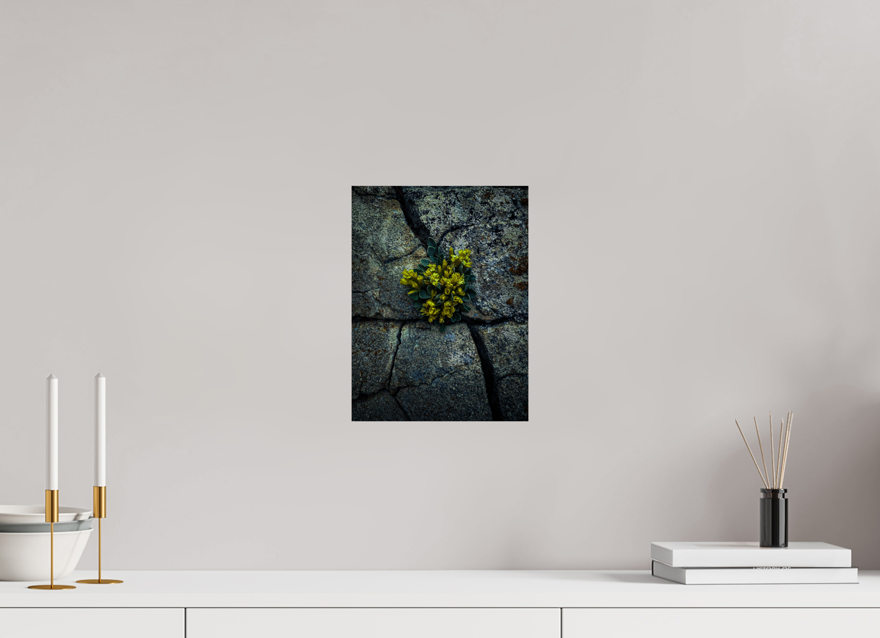 9 x 12″, Photo Print On Fuji Crystal DP II Flowers In The Cracks