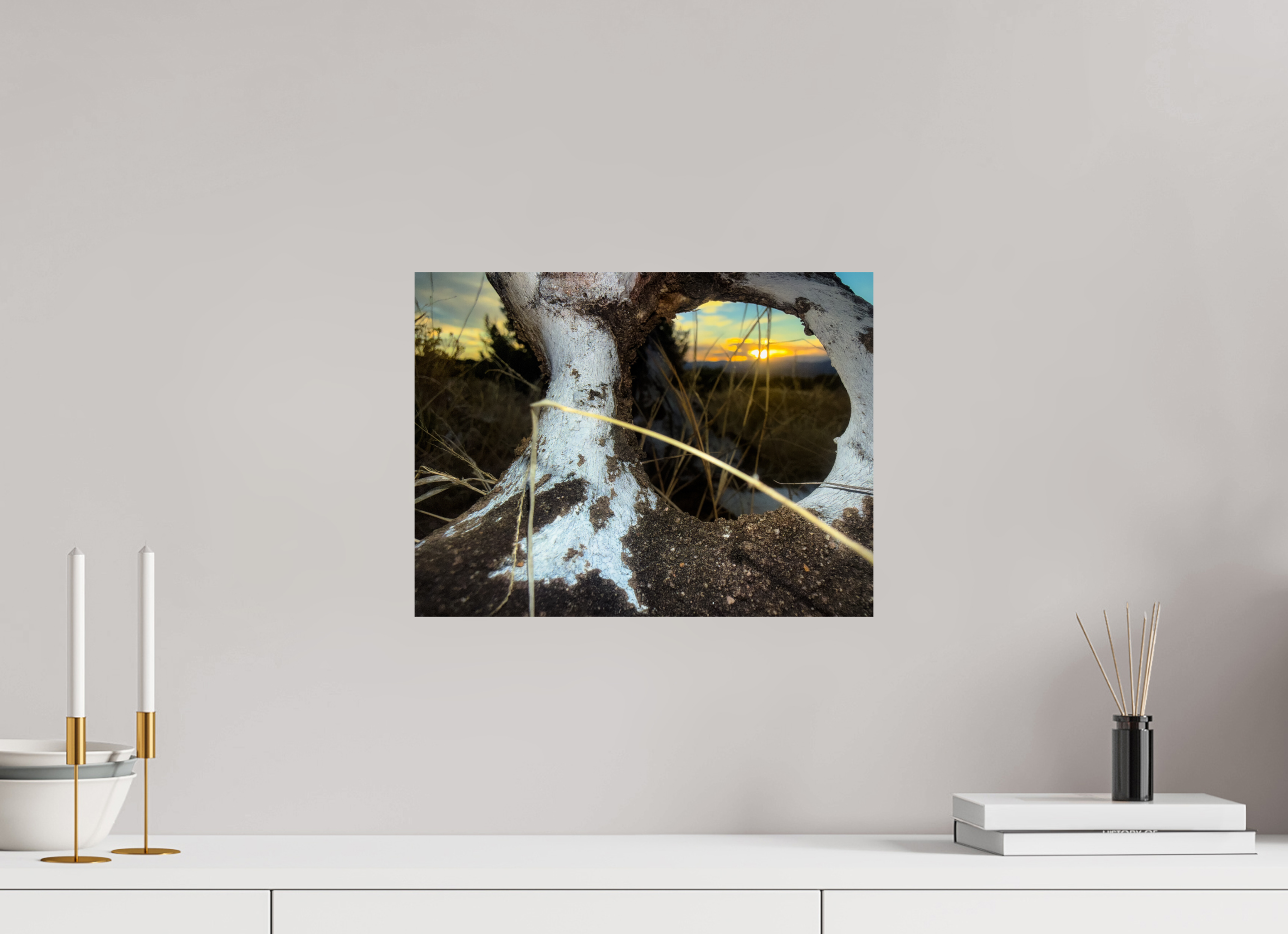 16 x 12″, Photo Print On Fuji Crystal DP II Sunset Bones