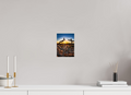 6 x 8″, Photo Print On Fuji Crystal DP II Columbus Cactus