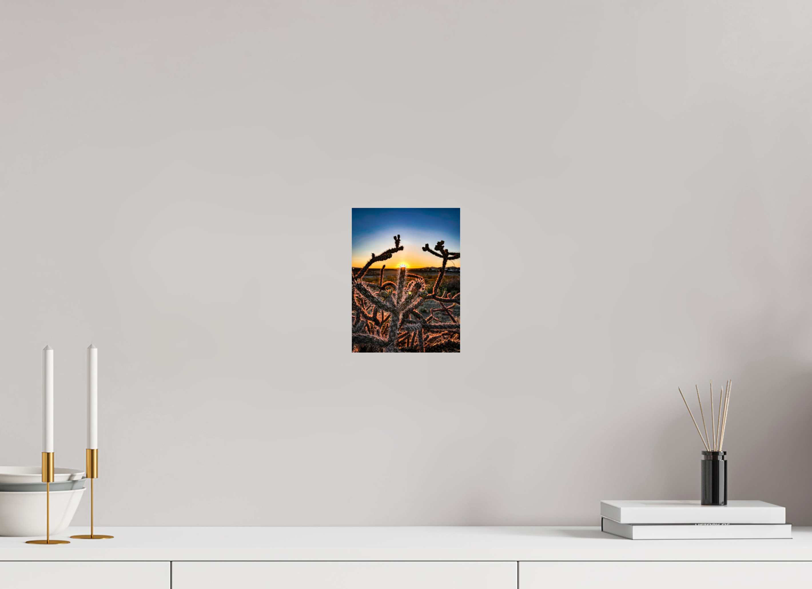 6 x 8″, Photo Print On Fuji Crystal DP II Columbus Cactus