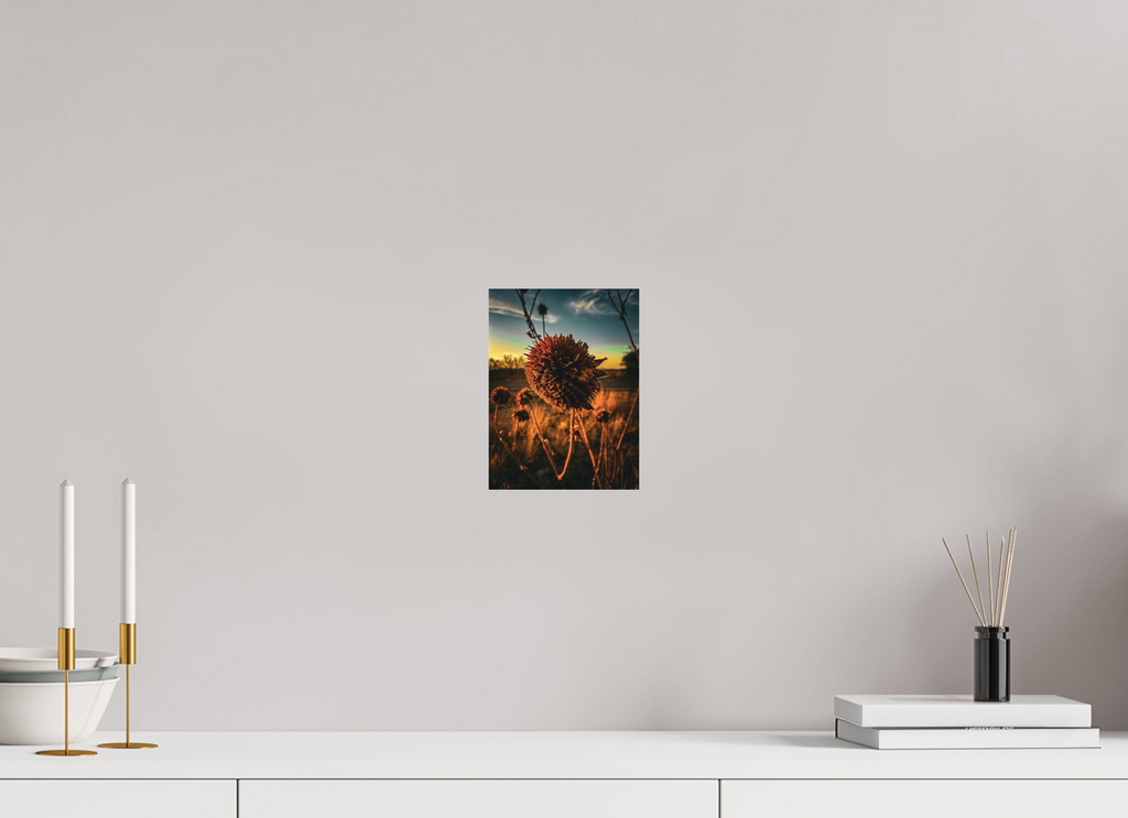 6 x 8″, Photo Print On Fuji Crystal DP II Abandoned Sunflower