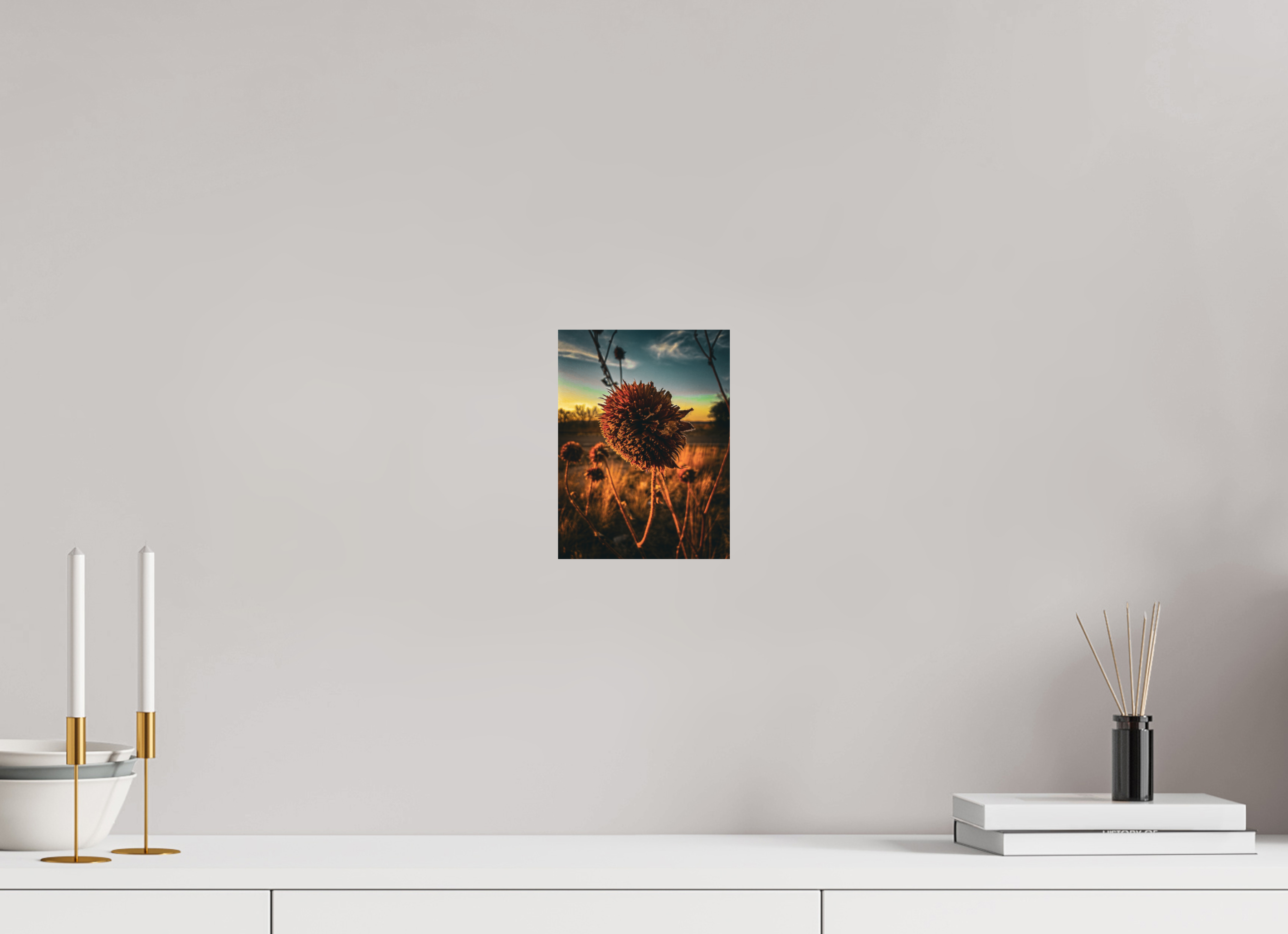 6 x 8″, Photo Print On Fuji Crystal DP II Abandoned Sunflower