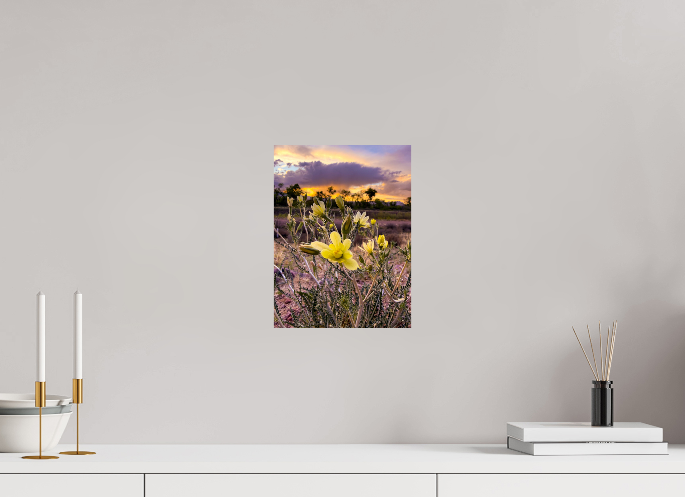 9 x 12″, Photo Print On Fuji Crystal DP II Resilient Flower
