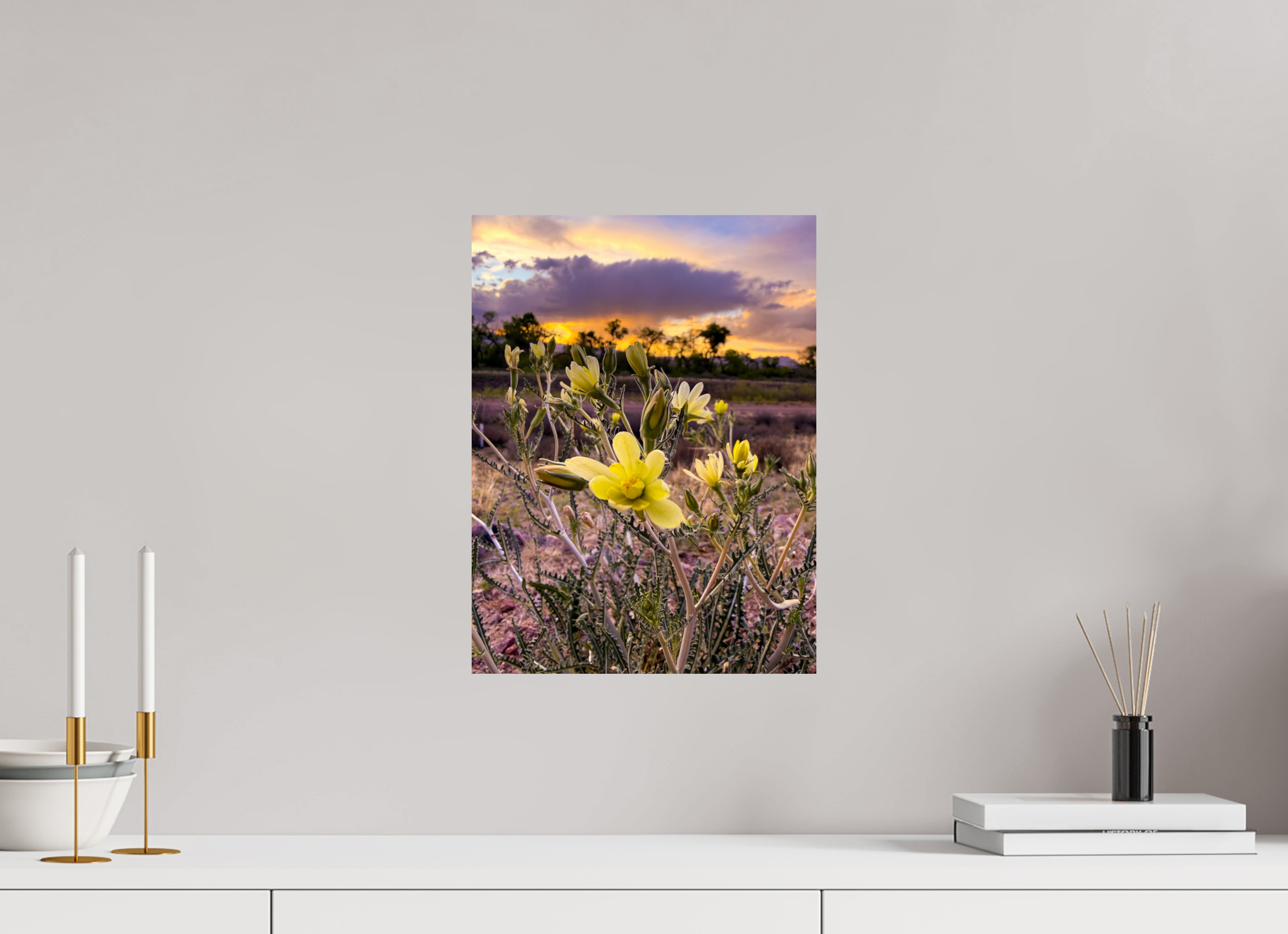12 x 16″, Photo Print On Fuji Crystal DP II Resilient Flower